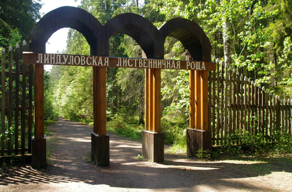 Фото взято из интернета.