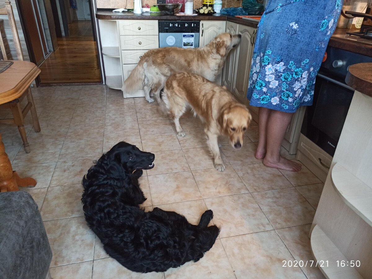 В ожидании ужина.