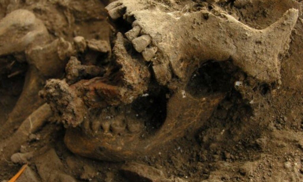 Источник Яндекс Картинки