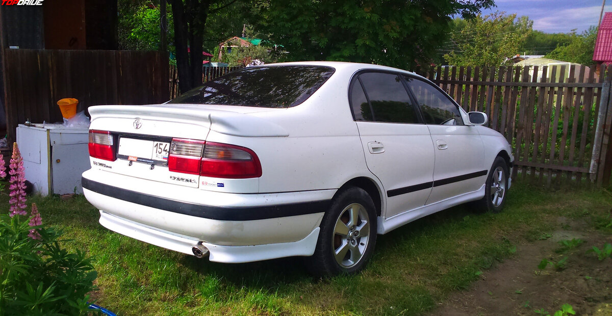 Источник фото: яндекс.картинки