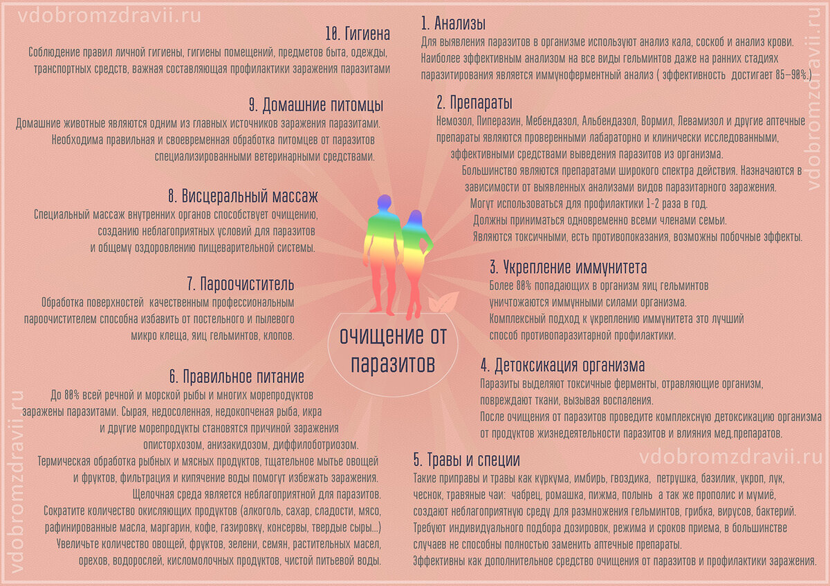 Инфографика. 10 шагов к полному очищению организма от паразитов