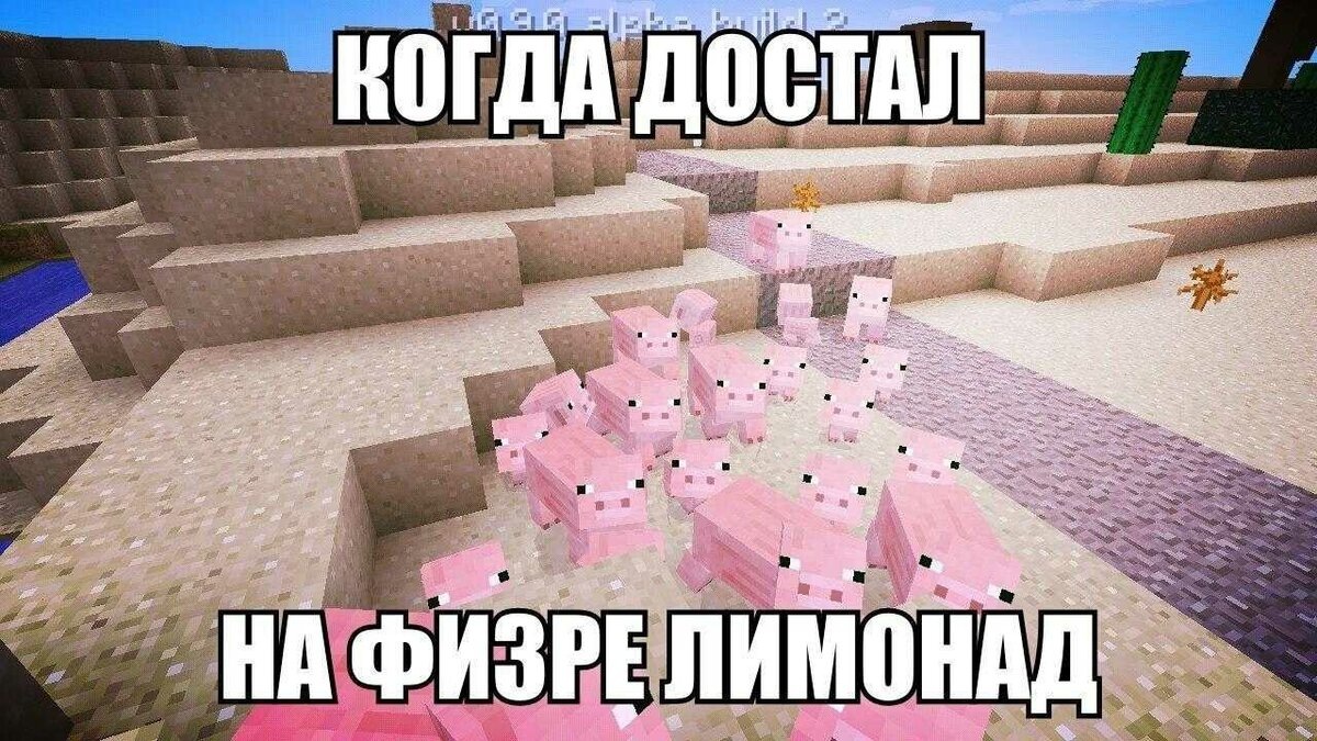 взято из открытых источников