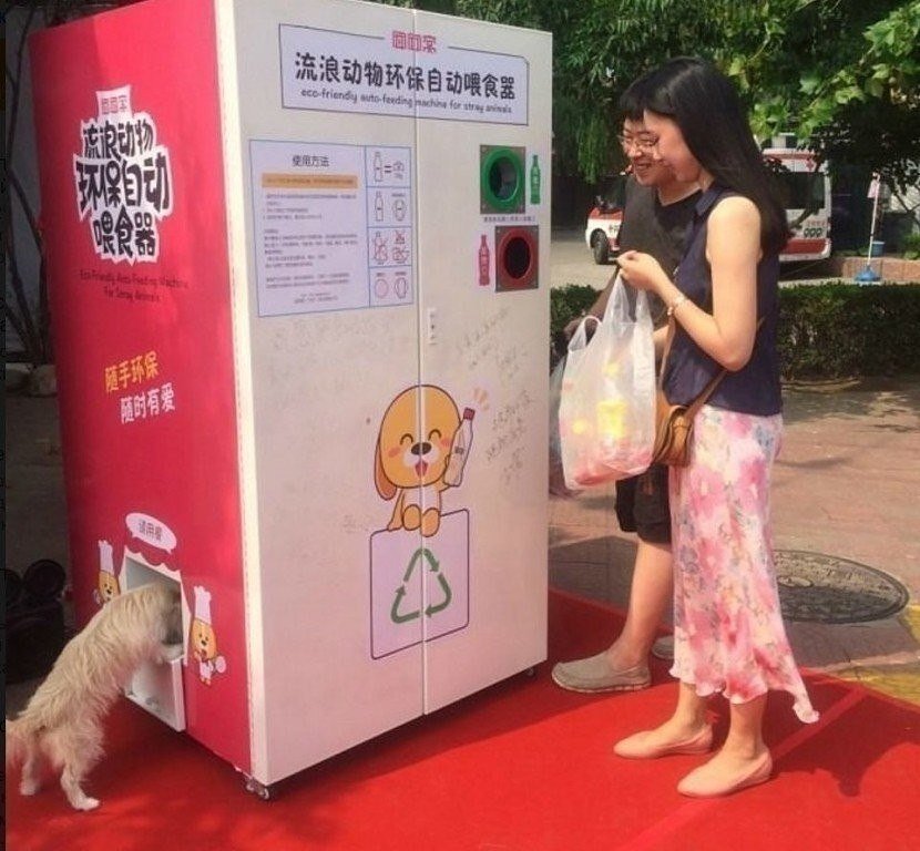 А это Китай. Фото с сайта https://m.fotostrana.ru/