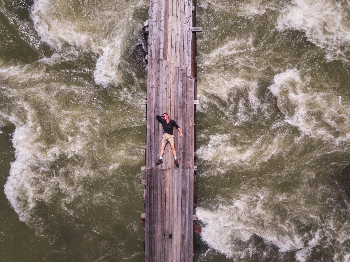 Источник: сайт проекта https://backtotheroots.ru/