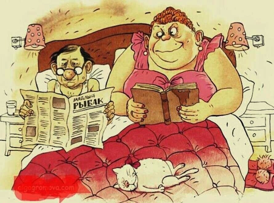 Карикатура взята из публичного доступа в интернете