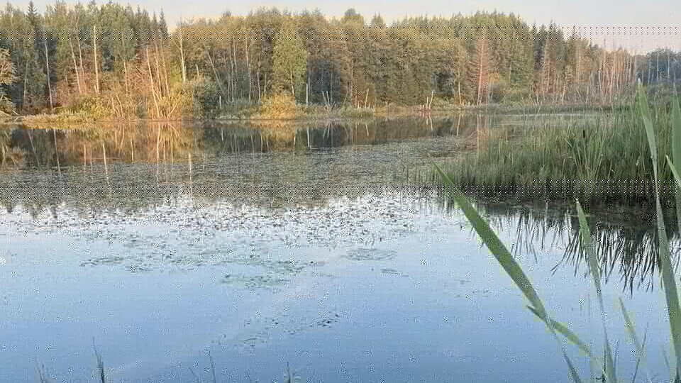 Солнышко едва вставало.