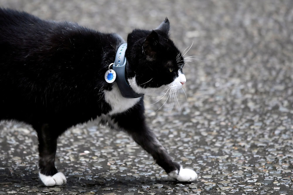  Фото: REUTERS/Toby Melville/File Photo