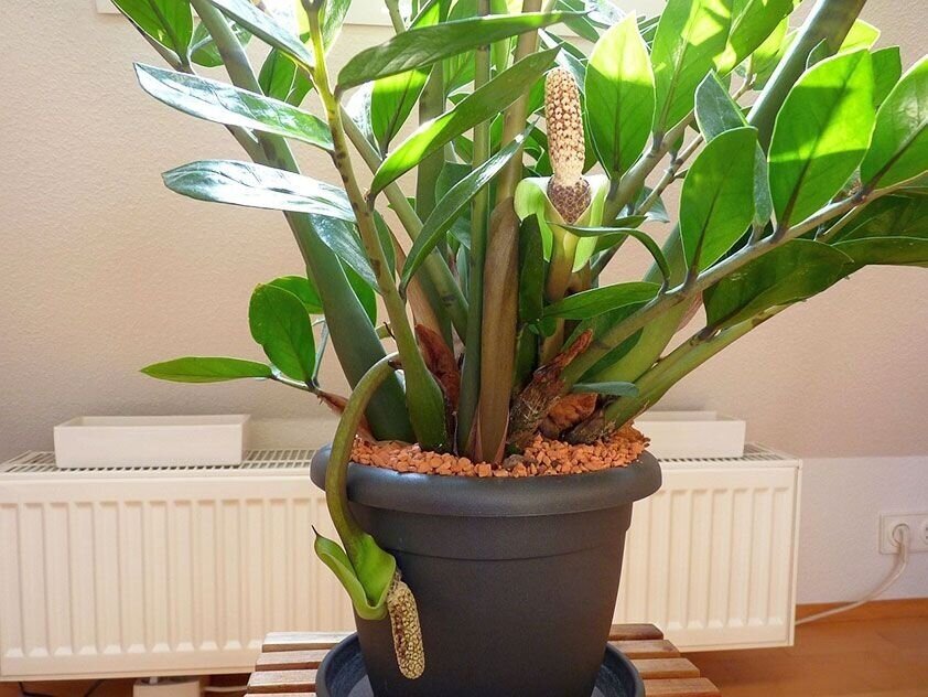 Источник фото: ok.ru