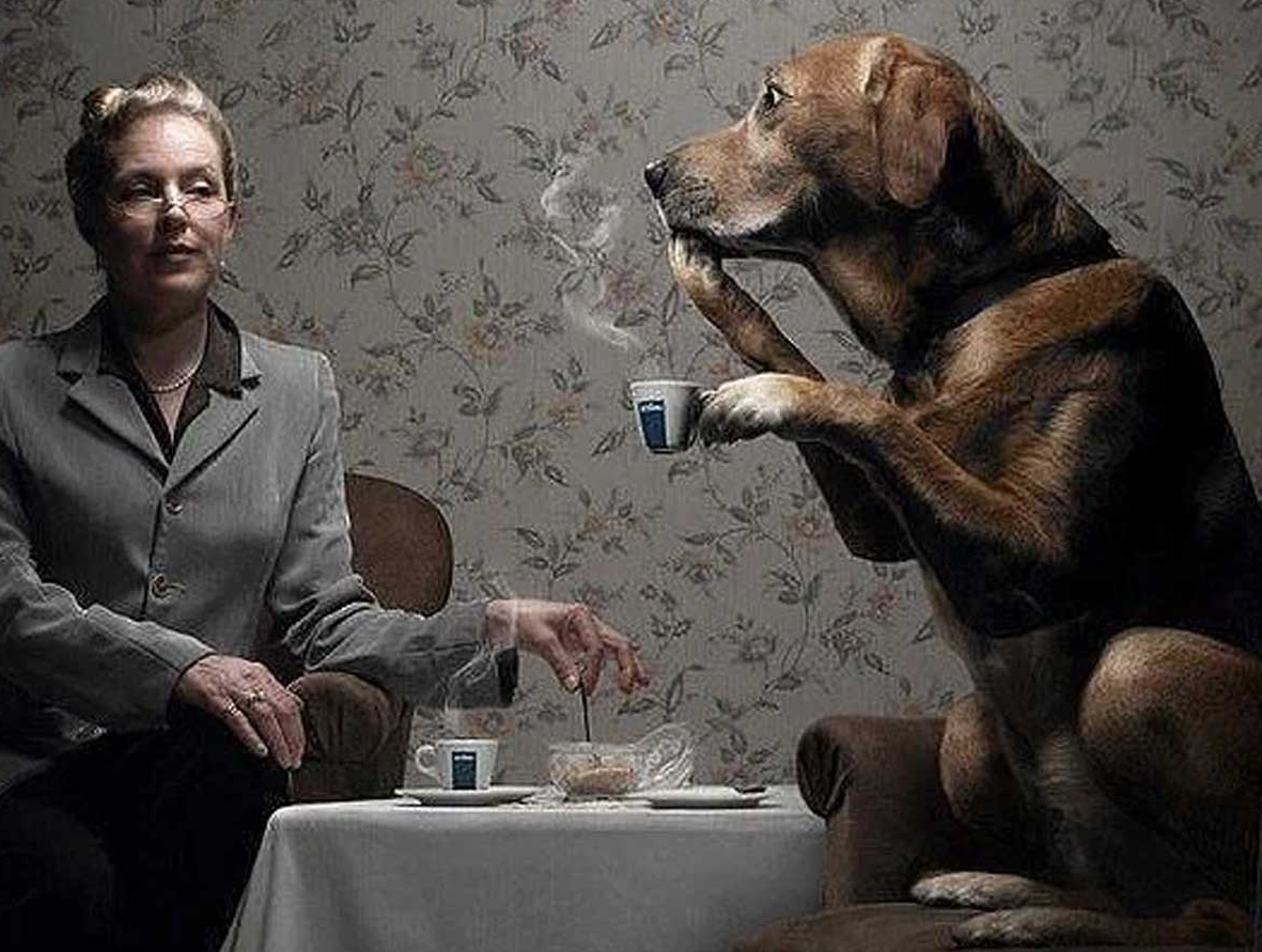 "Если у вас есть собака,но вы с ней не разговариваете - это весьма подозрительный симптом. Вы зачем вообще собаку заводили?"