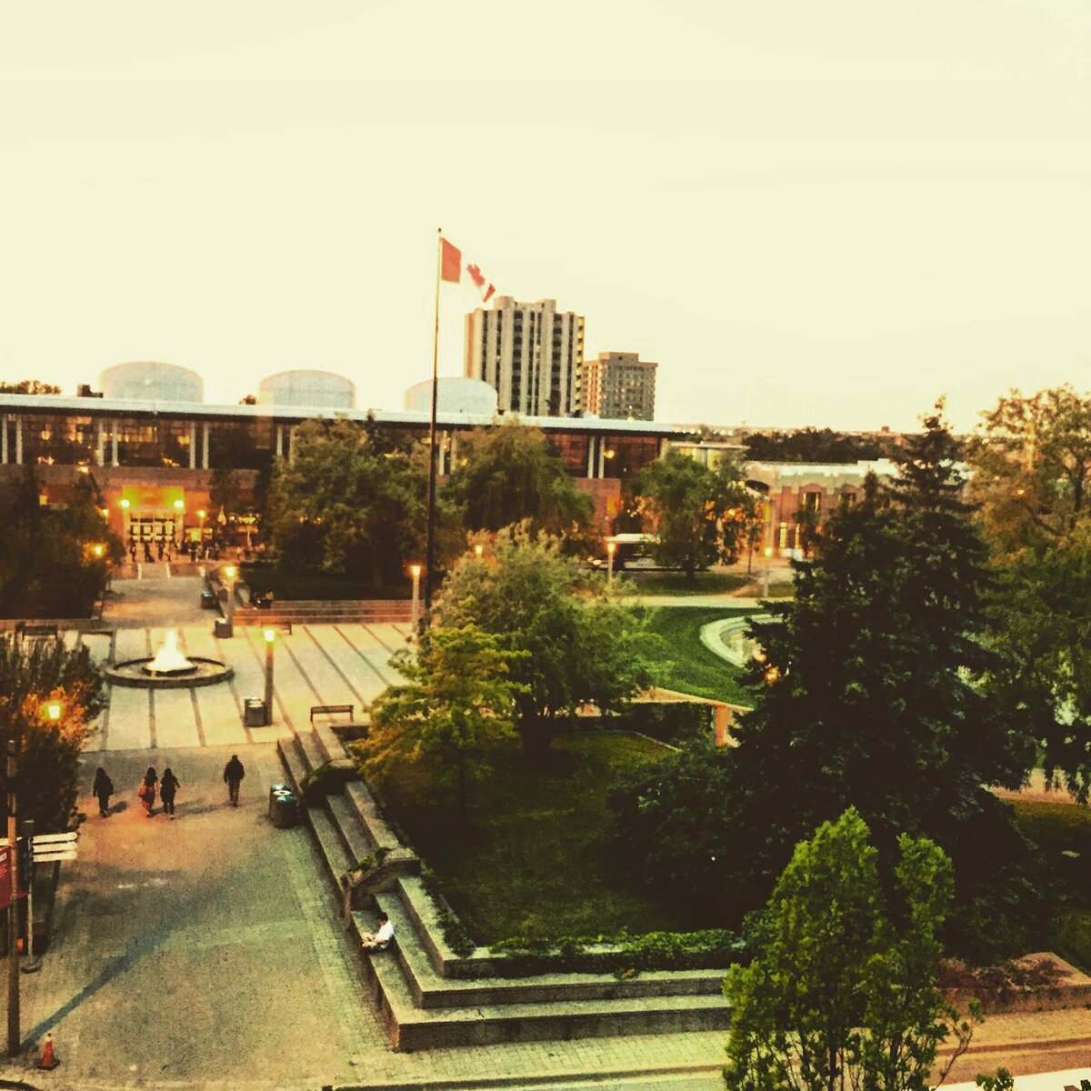 Кампус York University. 2016 г.