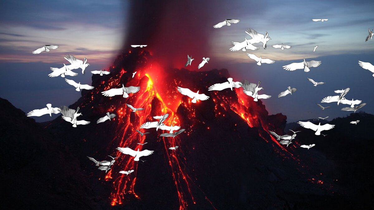 Извержение, всё живое куда-то девается...