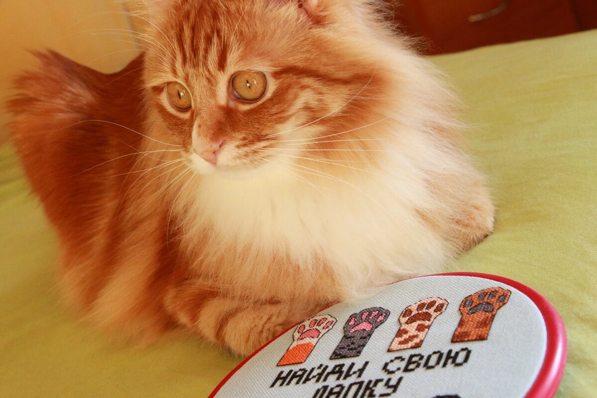 Ричард и отшив схемы