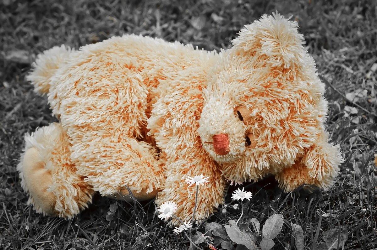 Изображение Merry Christmas  с сайта Pixabay