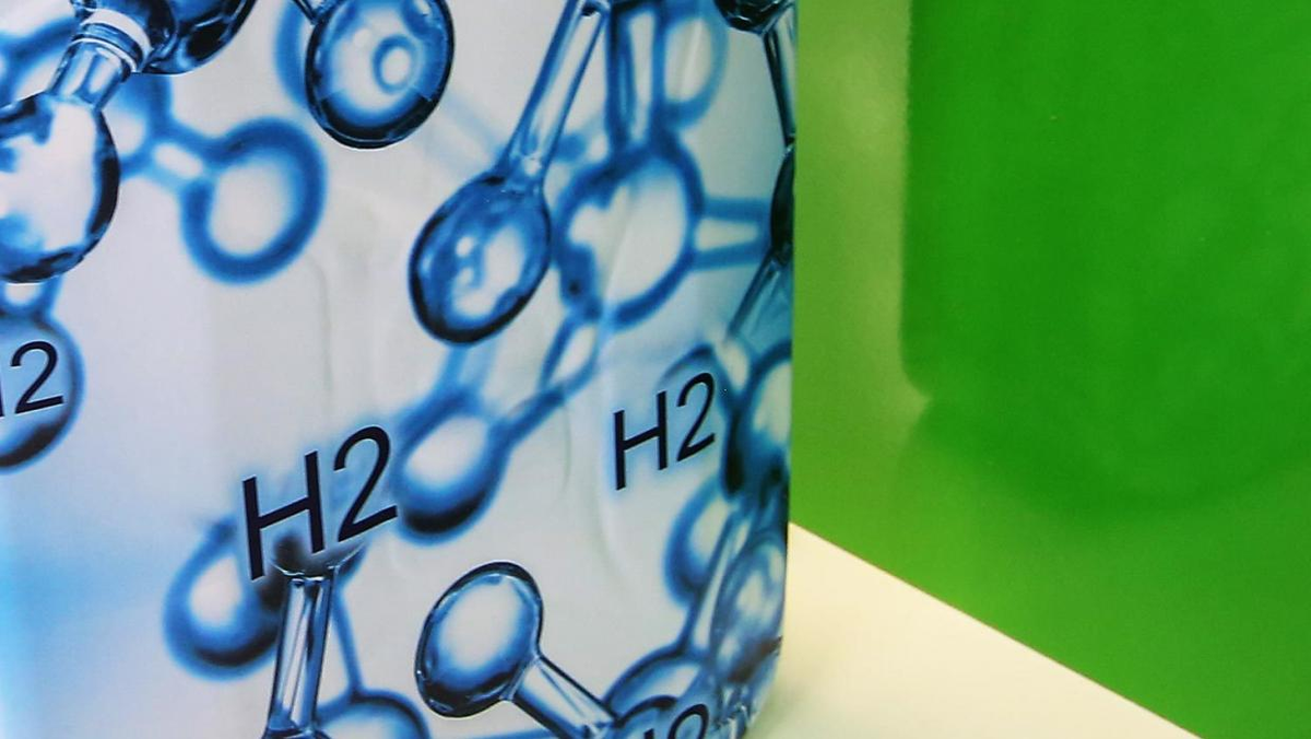 Возможное будущее