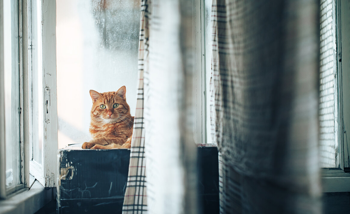 Открытое окно в зимний вечер за считанные минуты превратить вашу комнату в холодную пустыню по уровню влажности.