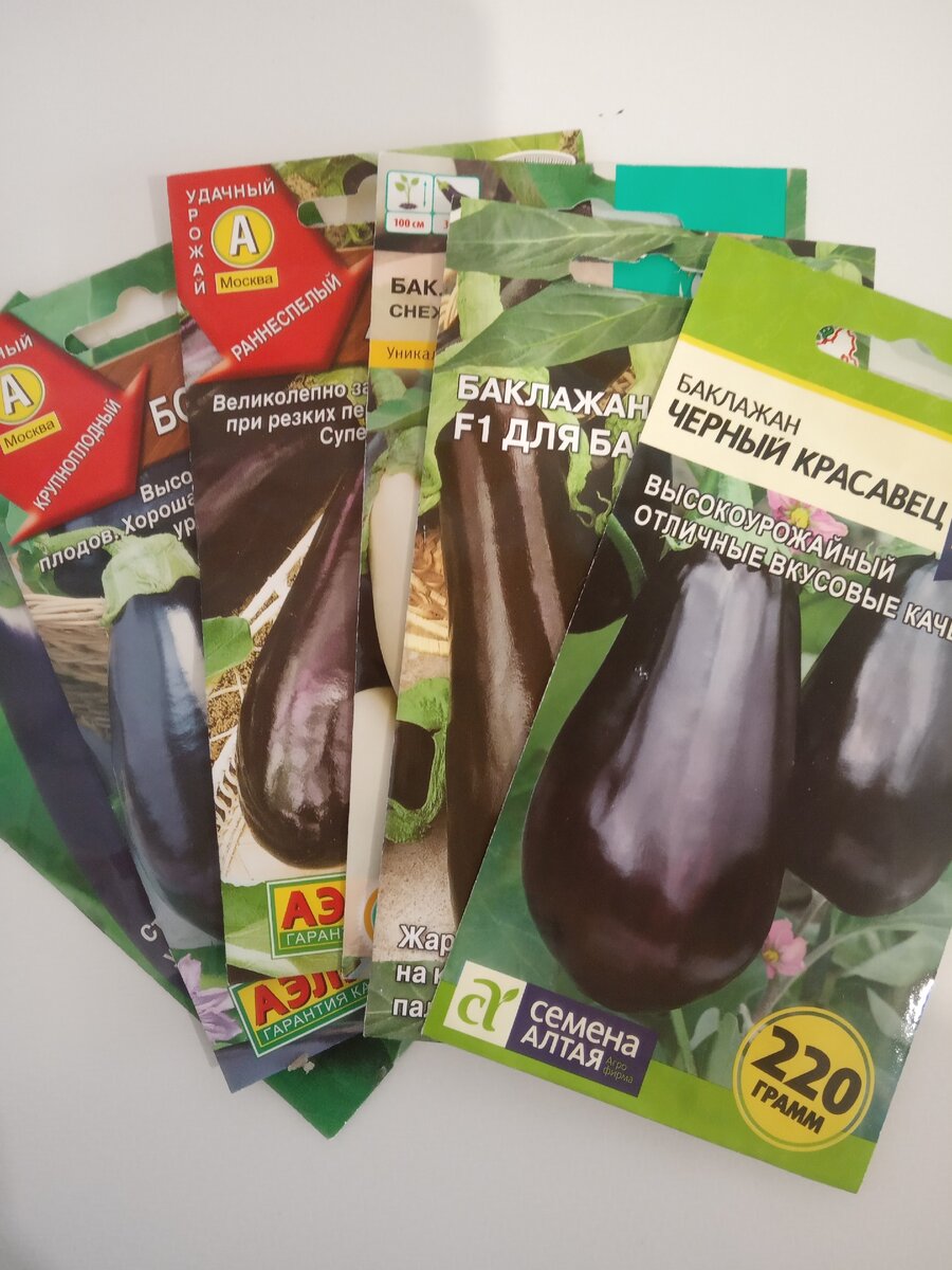 Мои семена баклажан