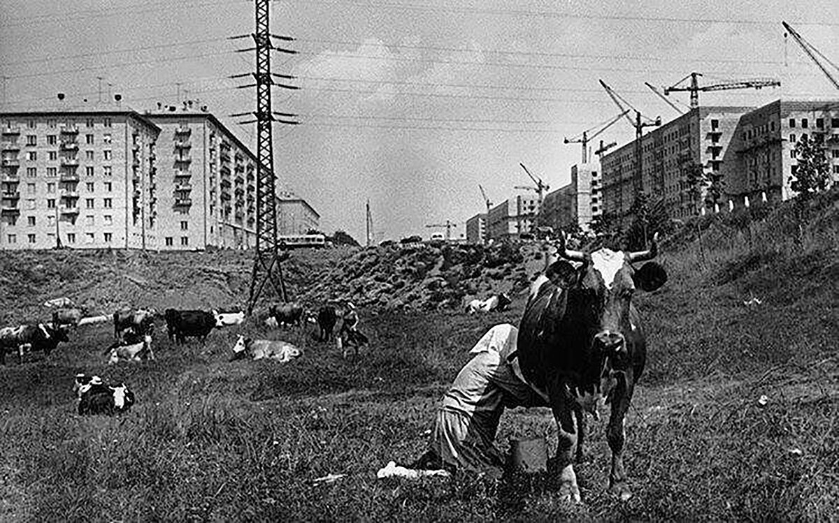 Застройка Ленинского проспекта в Москве, 54 год, фото-интернет