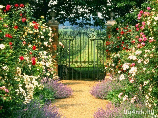 Отдельные местечки в саду для релакса. Розы создают уют, а их невероятный аромат вдохновит на расслабление и романтику. 