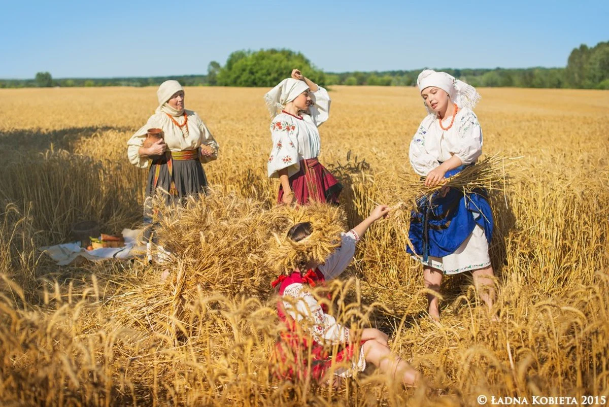 Ой поле у поли. Жнец в поле. Украинские крестьяне в поле. Работа в поле. Казачки в поле.