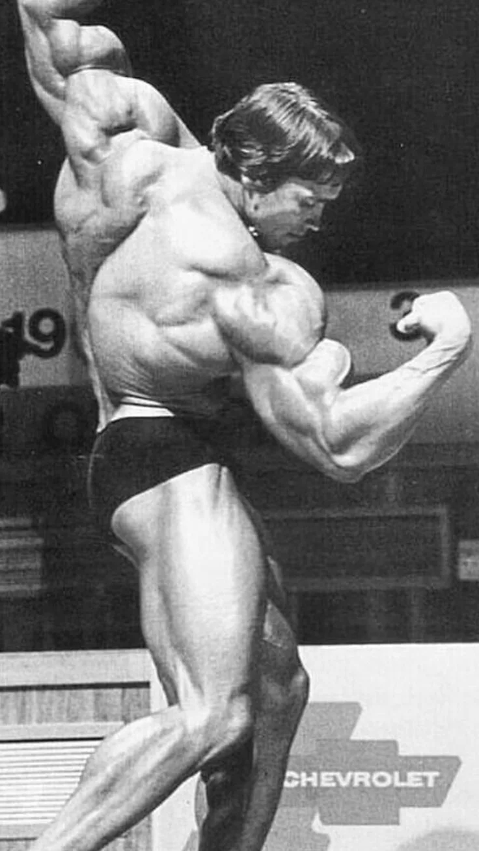 Арнольд Шварцнеггер - тип телосложения мезоморф