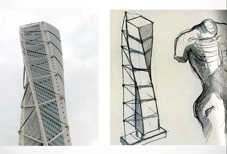 Из открытых источников Яндекса