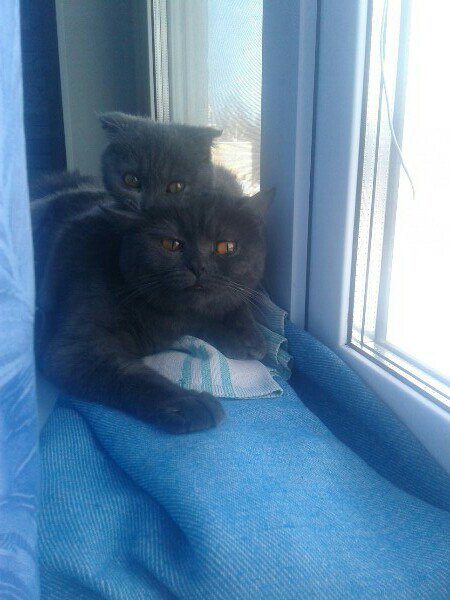 Самое милое фото в галерее 