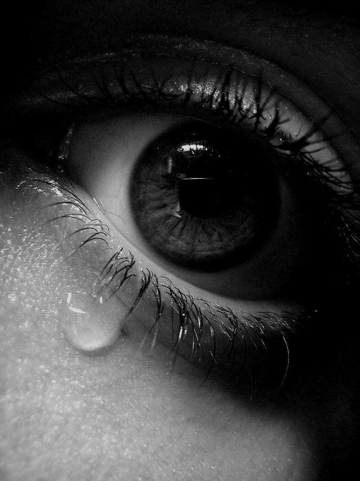 Источник: свободный поиск Яндекса 