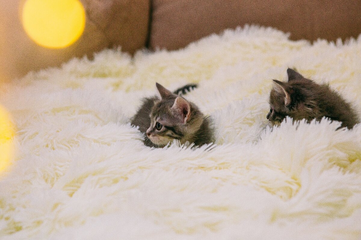 Фото автора канала "История_Литература_по-русски"