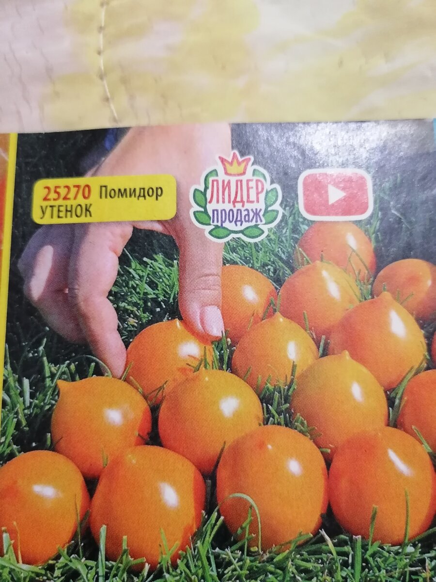 Фото из каталога семян