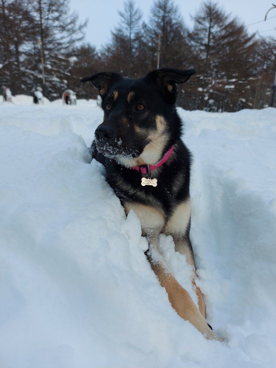 Наша Милания