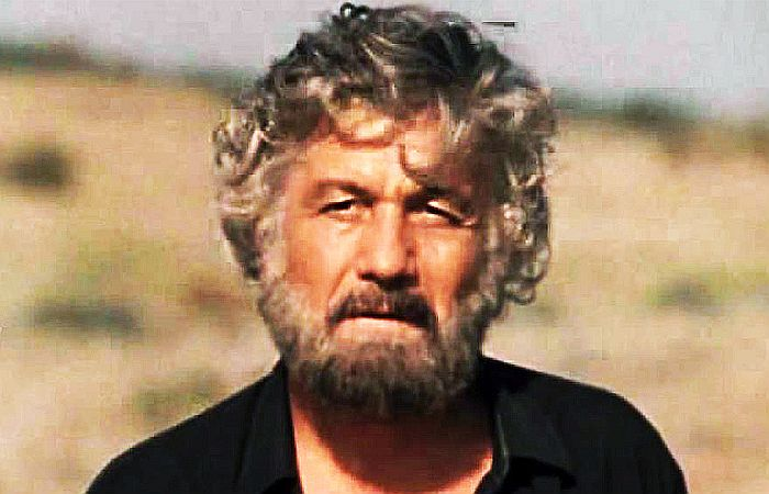 Будулай фото из фильма Евгений Матвеев и Михай Волонтир: чей Будулай лучше В кино с Варварой Дзен