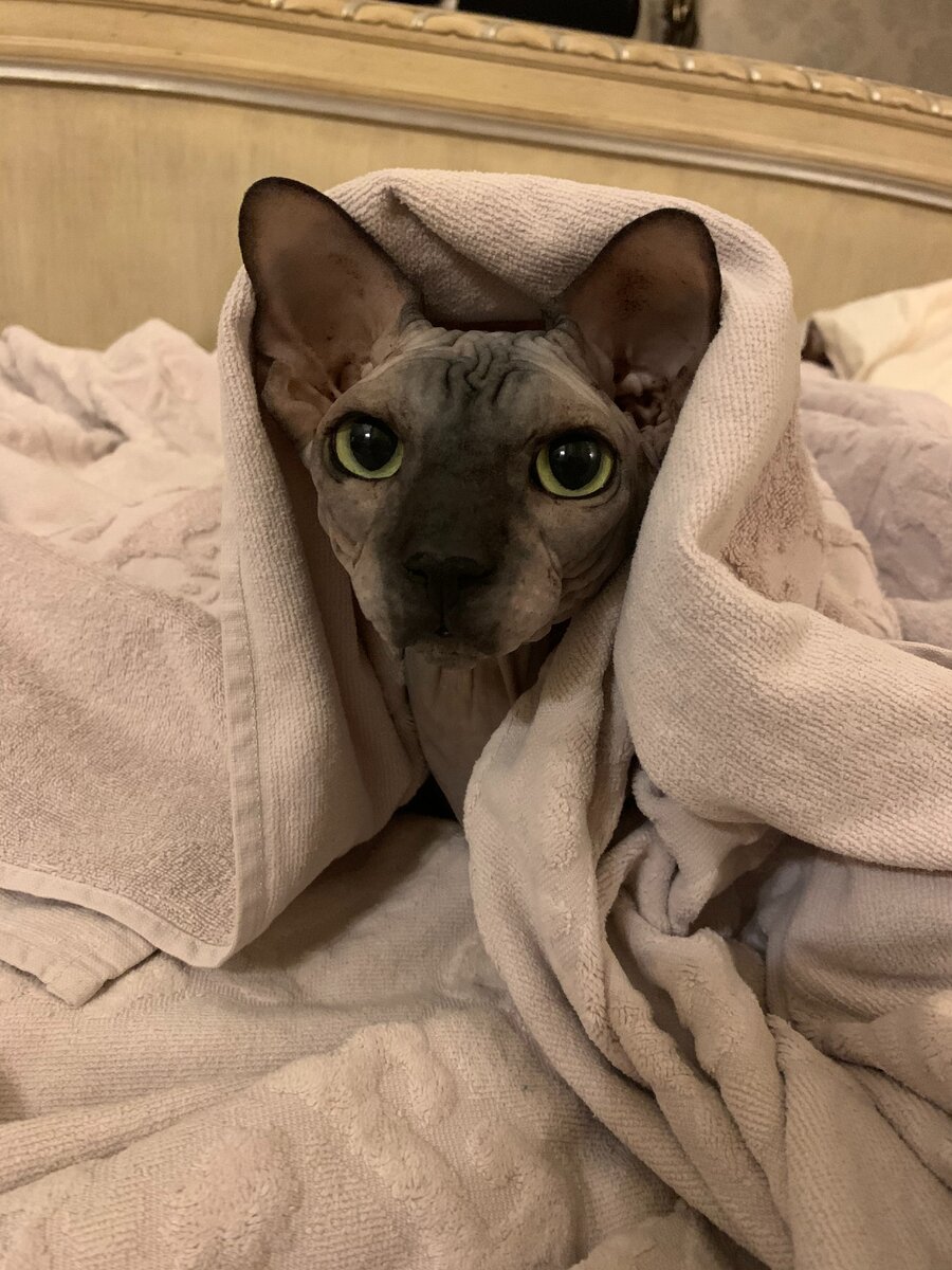 А оно нам надо?