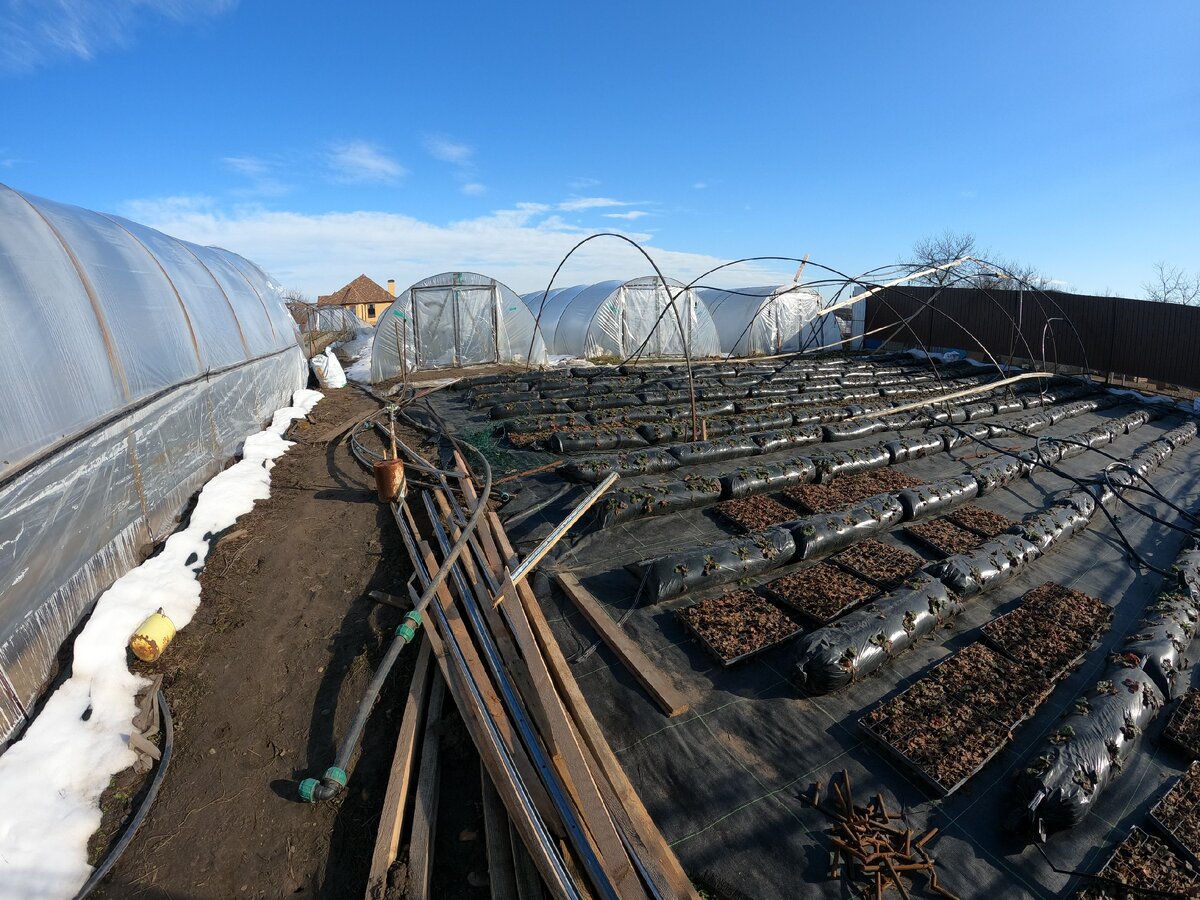 10 февраля 2021 года