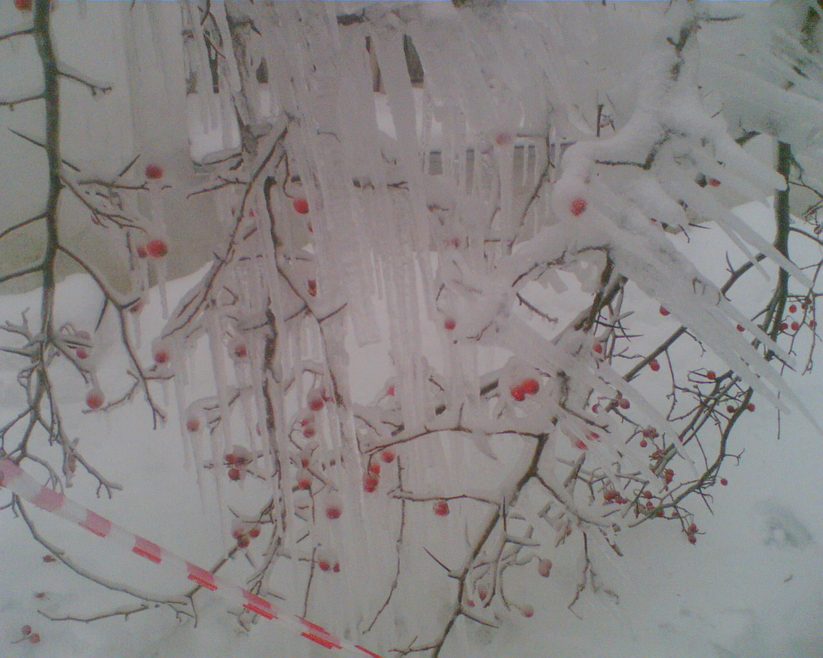 Фото из архива