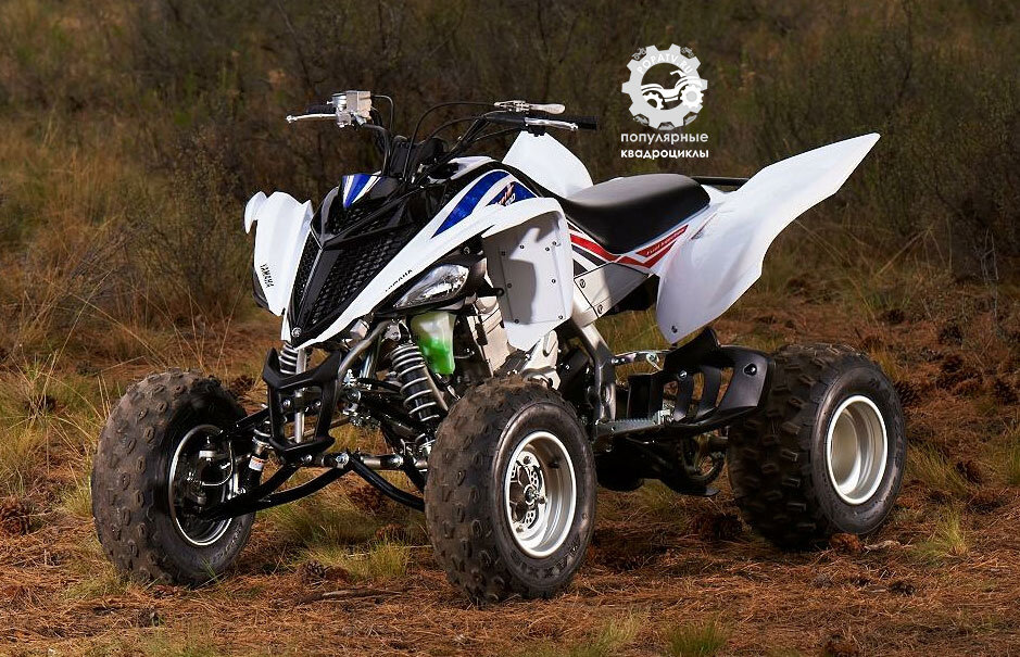 Базовая модель Yamaha Raptor 700 2013 года выпускается в двух расцветках. Также на ней нет комбинированных амортизаторов, которые установлены на других моделях Raptor 700.