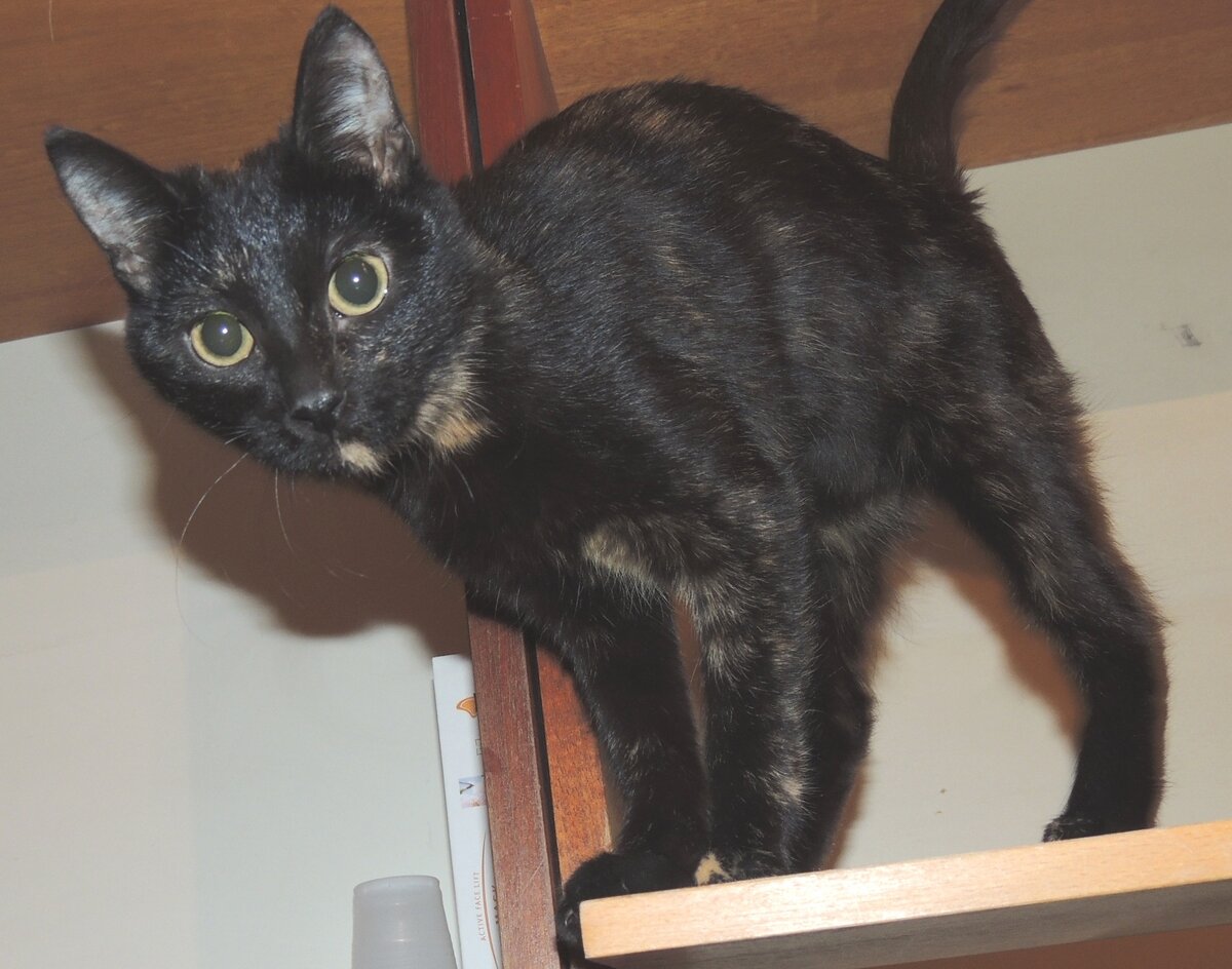 Эти фото были сделаны у куратора