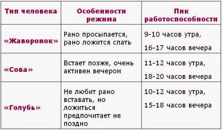 Почему хочется спать и как бороться с сонливостью?