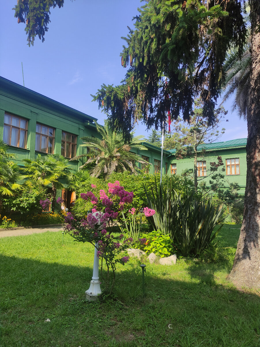 Территория дачи.