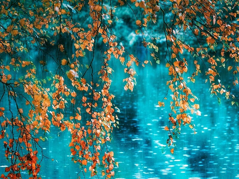 (из открытого источника)