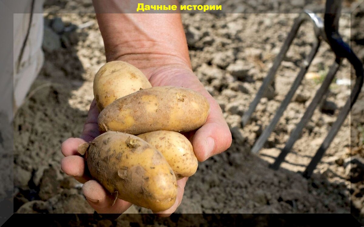 https://vk.com/photo-159774511_457249389