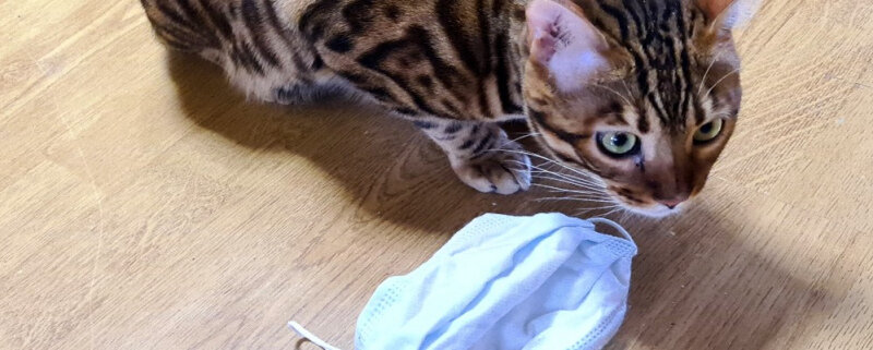 Фото Павла Разуваева