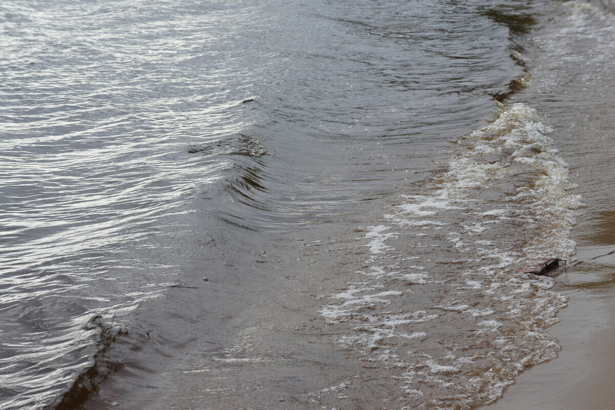 Лес, озеро и каменные руины. Поход одного дня по Гладышевскому ...