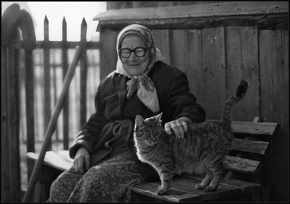 изображение из сети интернет и в свободном доступе