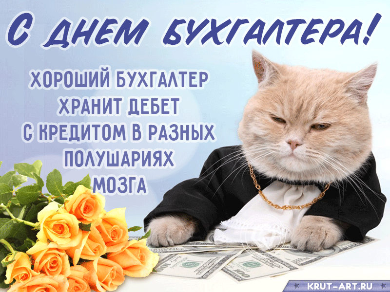 Смешное поздравление бухгалтеру с профессиональным праздником. Хороший бухгалтер хранит дебет с кредитом в разных полушариях.