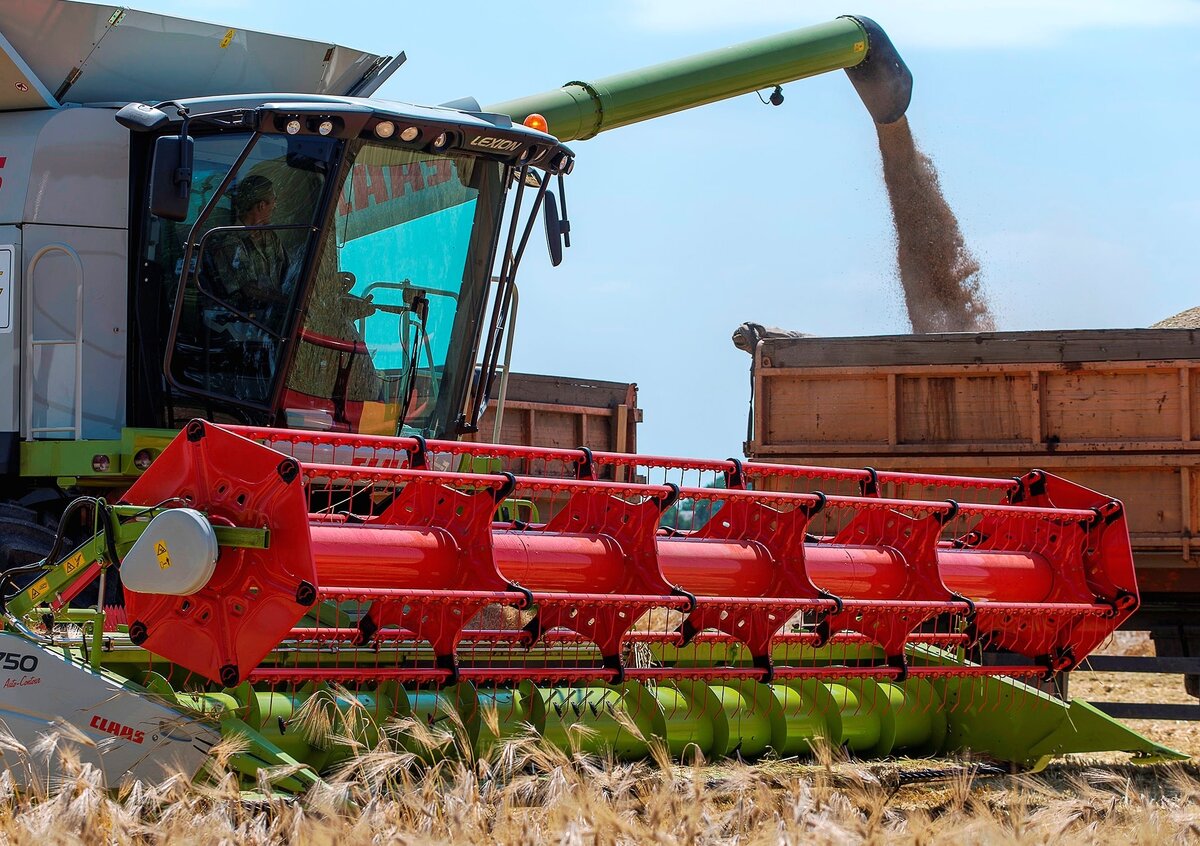 агрообъединение кубань усть-лабинск. агро кубань усть лабинск. агрохолдинг кубань усть-лабинск. агрообъединение кубань усть-лабинск. агрохолдинг усть лабинск.