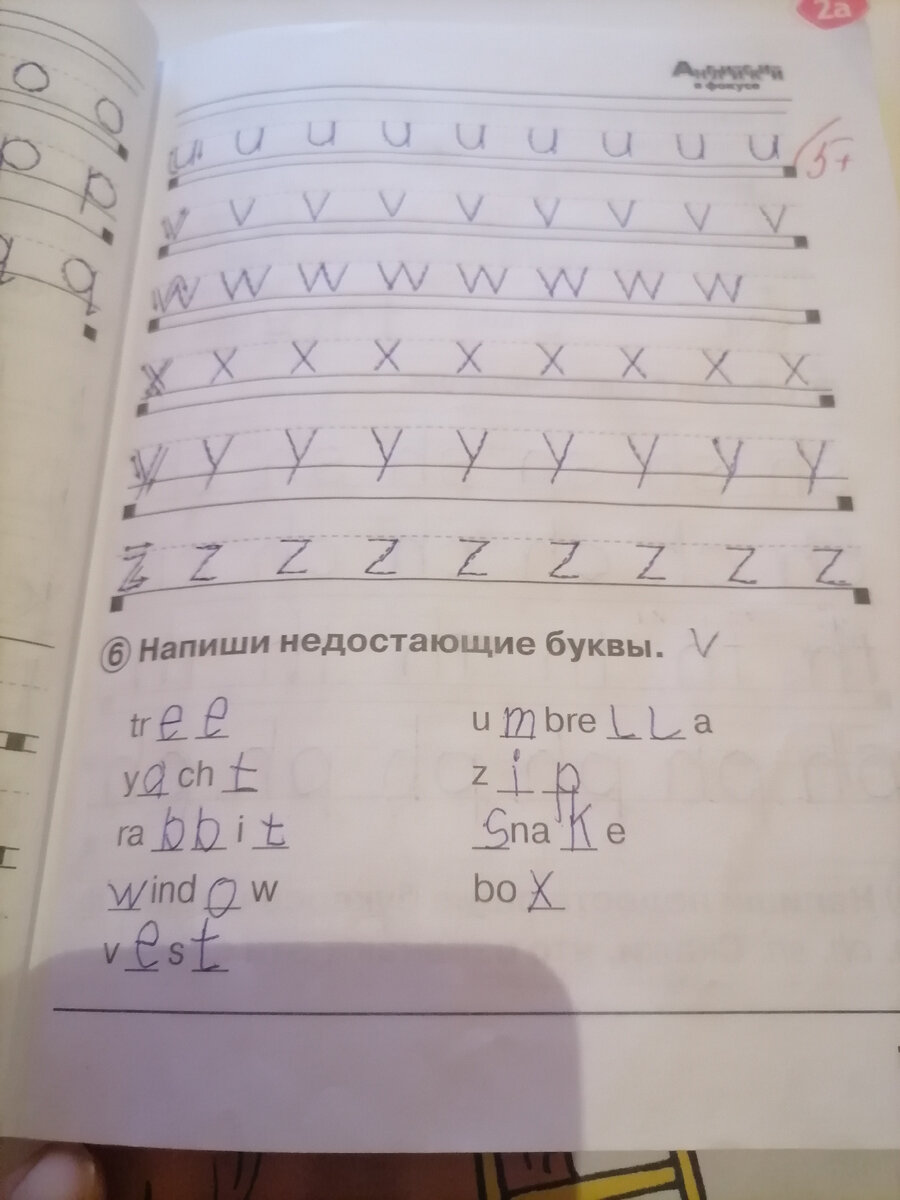 Учебником английского языка Spotlight недовольны многие родители |  Приключения Петербуржцев в России | Дзен