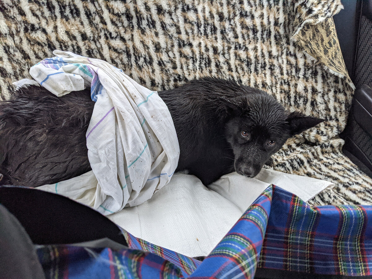 С трудом загрузив, а еще с большими усилиями занесли на тёплую веранду. 