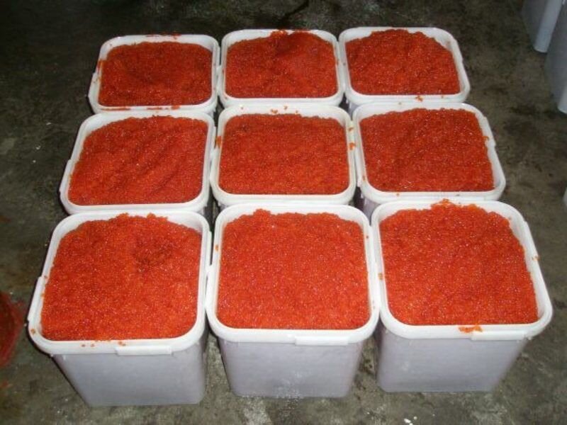 Одна взятка простого инспектора рыбоохраны на Камчатке. Фото Яндекс картинки