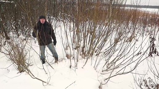 Домику для гостей все-таки быть. Мы купили участок земли на берегу озера. Подробно для зрителей канала.