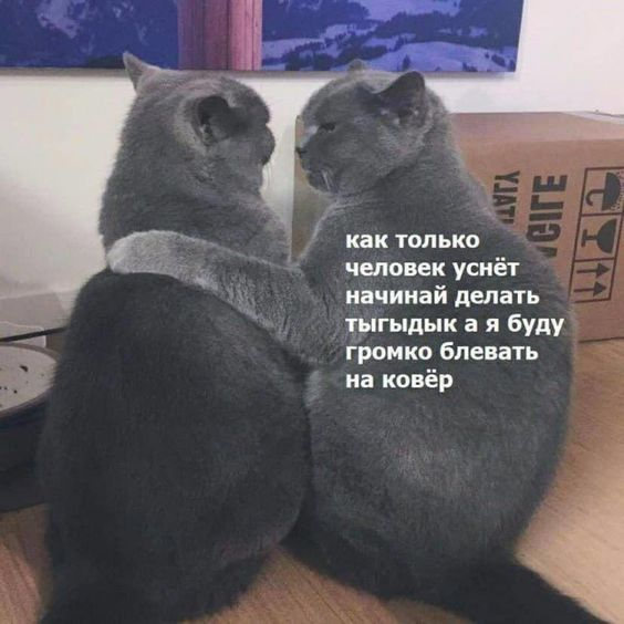 Фото https://www.pinterest.ru